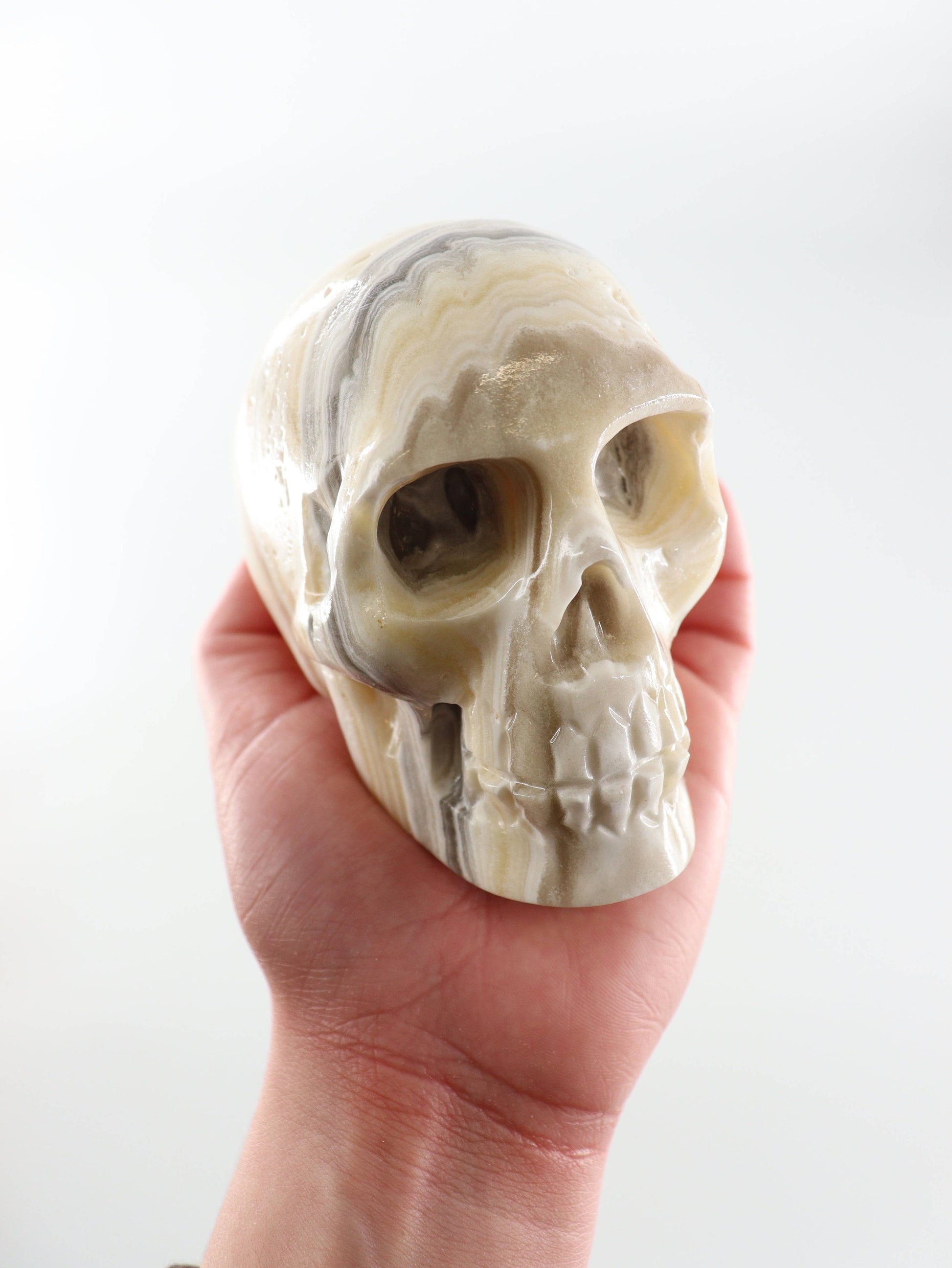 Onyx Skull -  by Carlyle Avenue