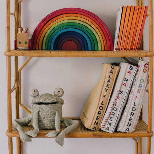 Basket Fred the Frog - Mini