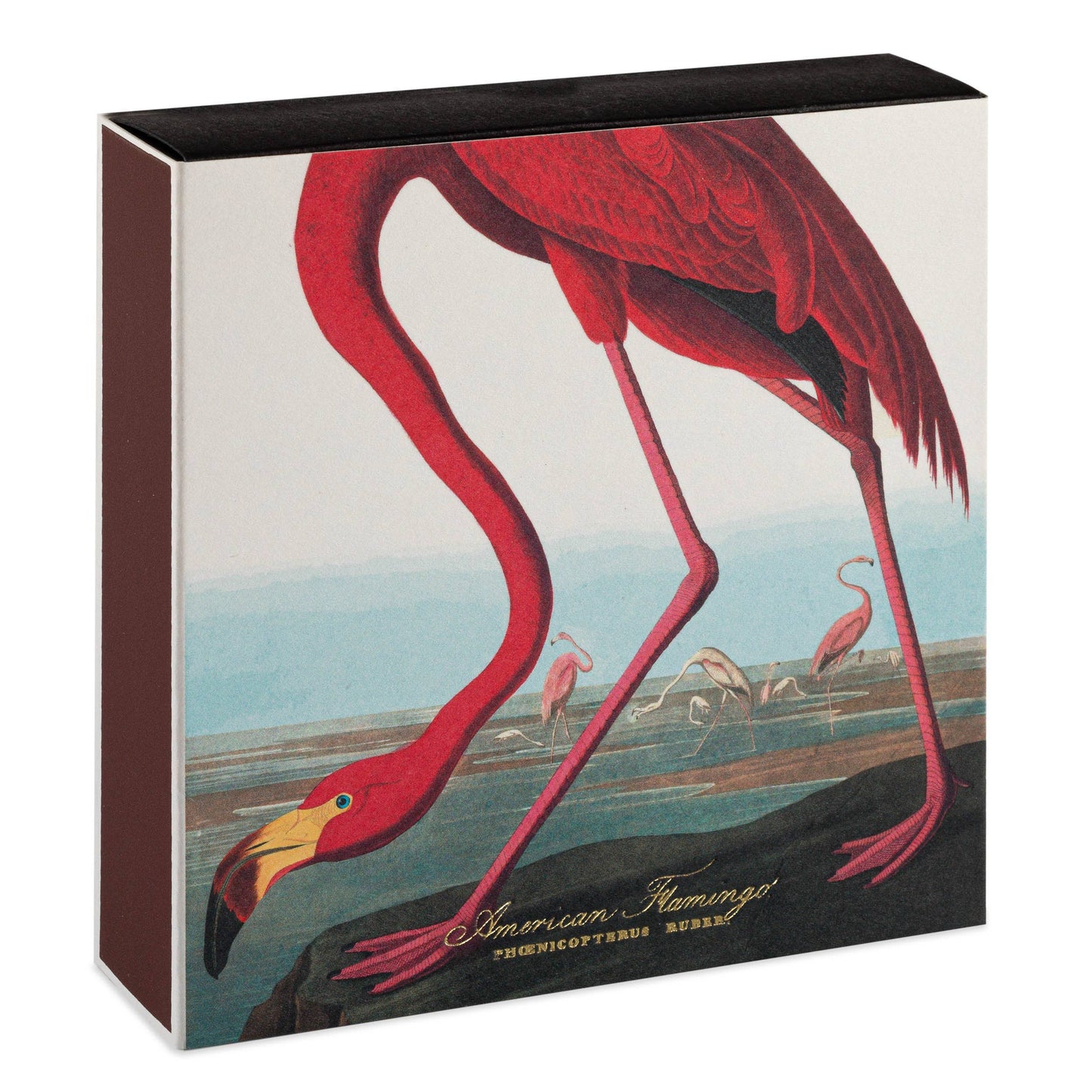 American Flamingo  | Square - Safety Matches