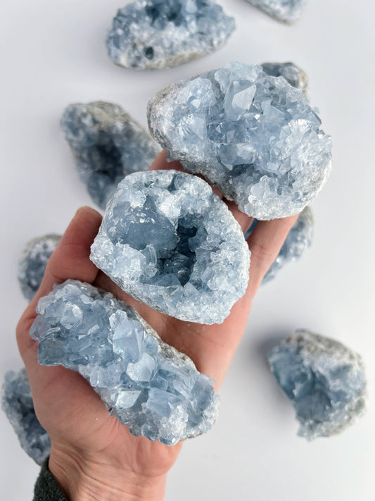 Blue Celestite Crystal Geodes - Small -  by Carlyle Avenue