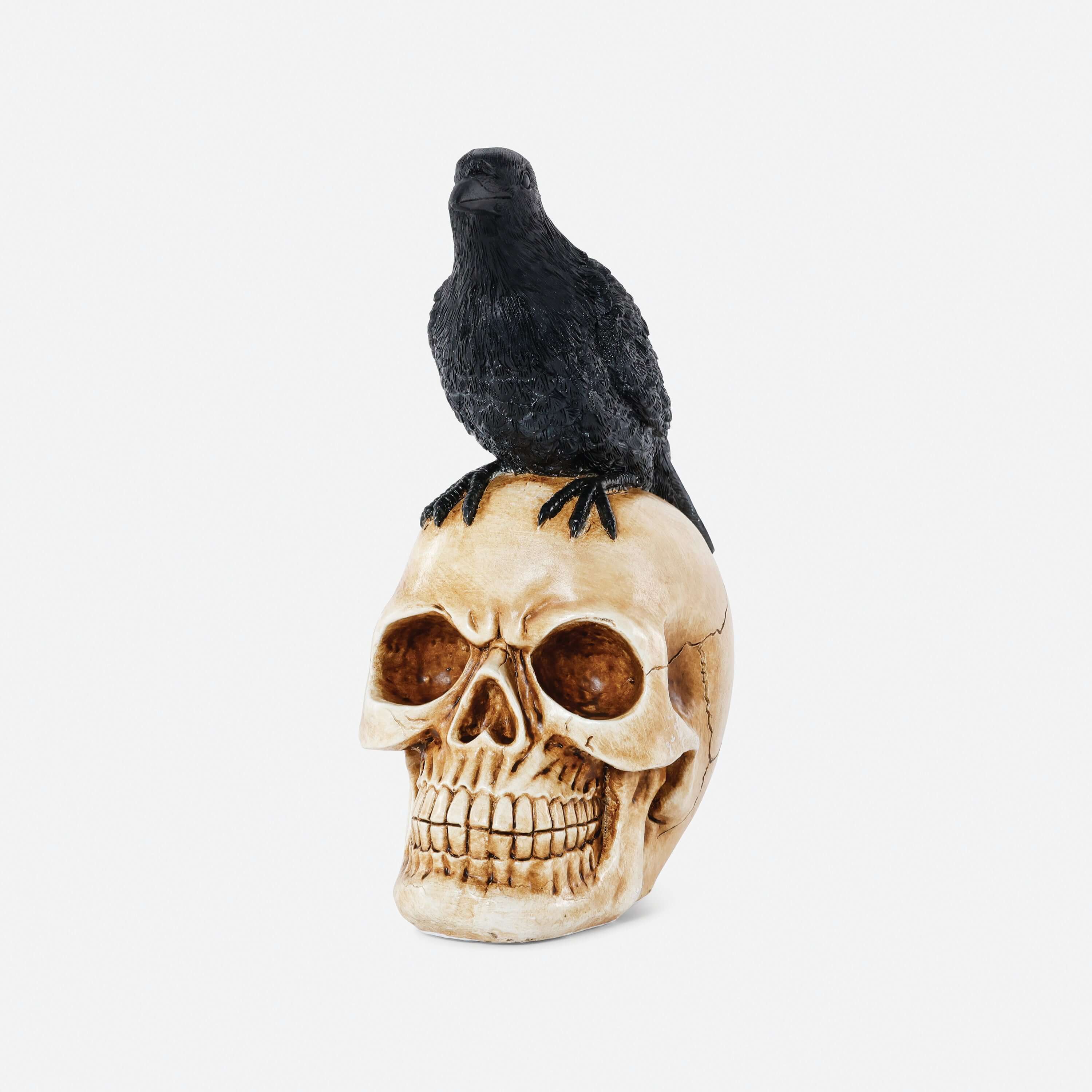 Resin Crow on Skull