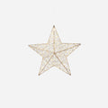 Wire Frame Lit Star with Adapter