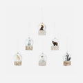 Mini Woodland Animal Snow Globe Ornament, Set of 6 Assorted