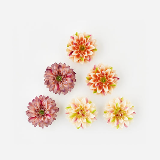 Five decorative flowers on a white background