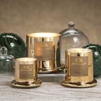 Apothecary Guild Domed Candle - Siberian Fir - Gold - Candles by Carlyle Avenue