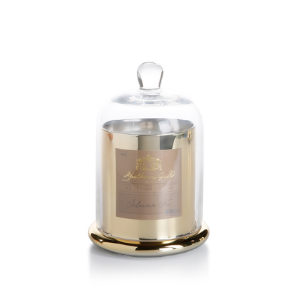 Apothecary Guild Domed Candle - Siberian Fir - Gold - Candles by Carlyle Avenue