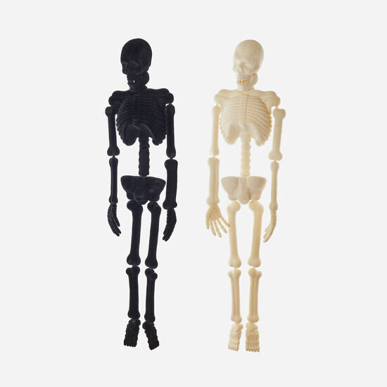 Black and white skeleton models on a white background