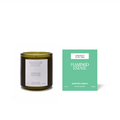Ancient Agrigento Olive Tree Candle - Home Fragrance by Carlyle Avenue