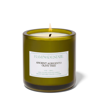 Ancient Agrigento Olive Tree Candle - Home Fragrance by Carlyle Avenue