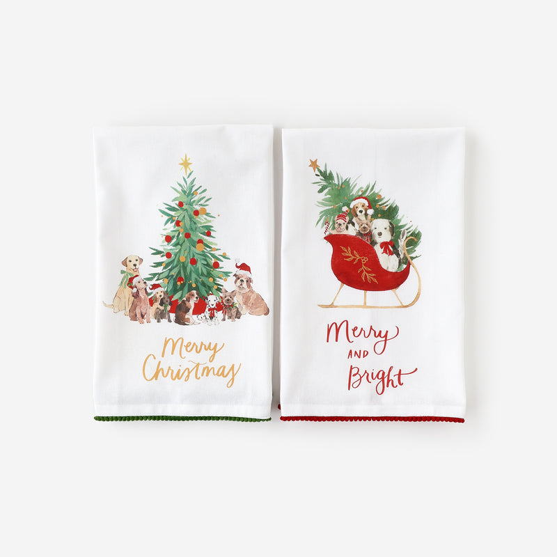 Santa Paws Towel, Set of 2 Assorted