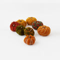 Knit Pumpkin, Set of 8 Assorted - Large