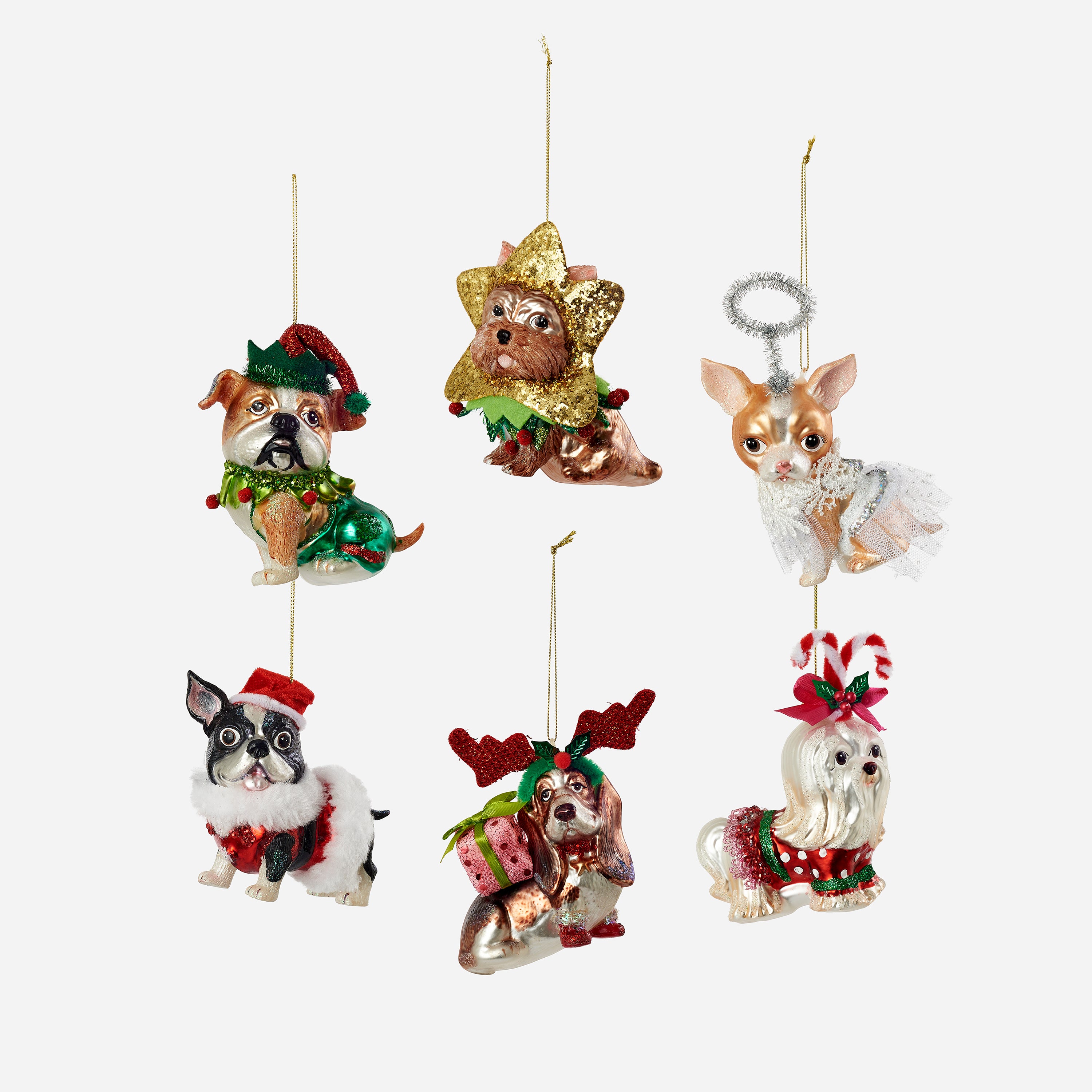 Dog in Costume Glass Ornament, Set of 6 Assorted