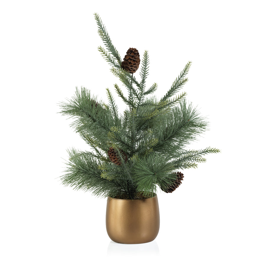 Noble Fir Tree in Gold Ceramic Pot