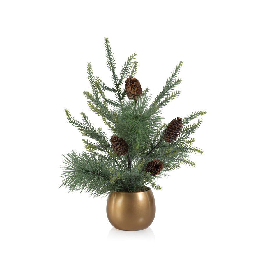 Noble Fir Tree in Gold Ceramic Pot