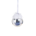 Silver Luster Ornament Ball with Feather Design (Single) - Ornaments by Carlyle Avenue