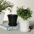 San Ysidro Flower Pot with Saucer - Planter by Carlyle Avenue