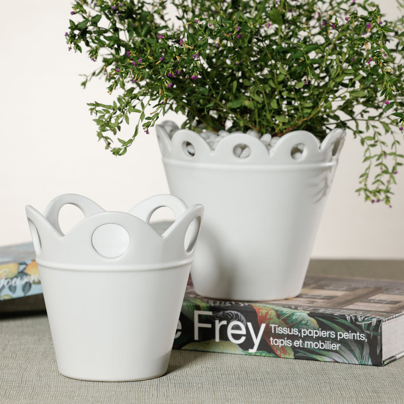 Petal Rim Flower Pot - Pots & Planters by Carlyle Avenue