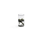 Botánico Glass Vase