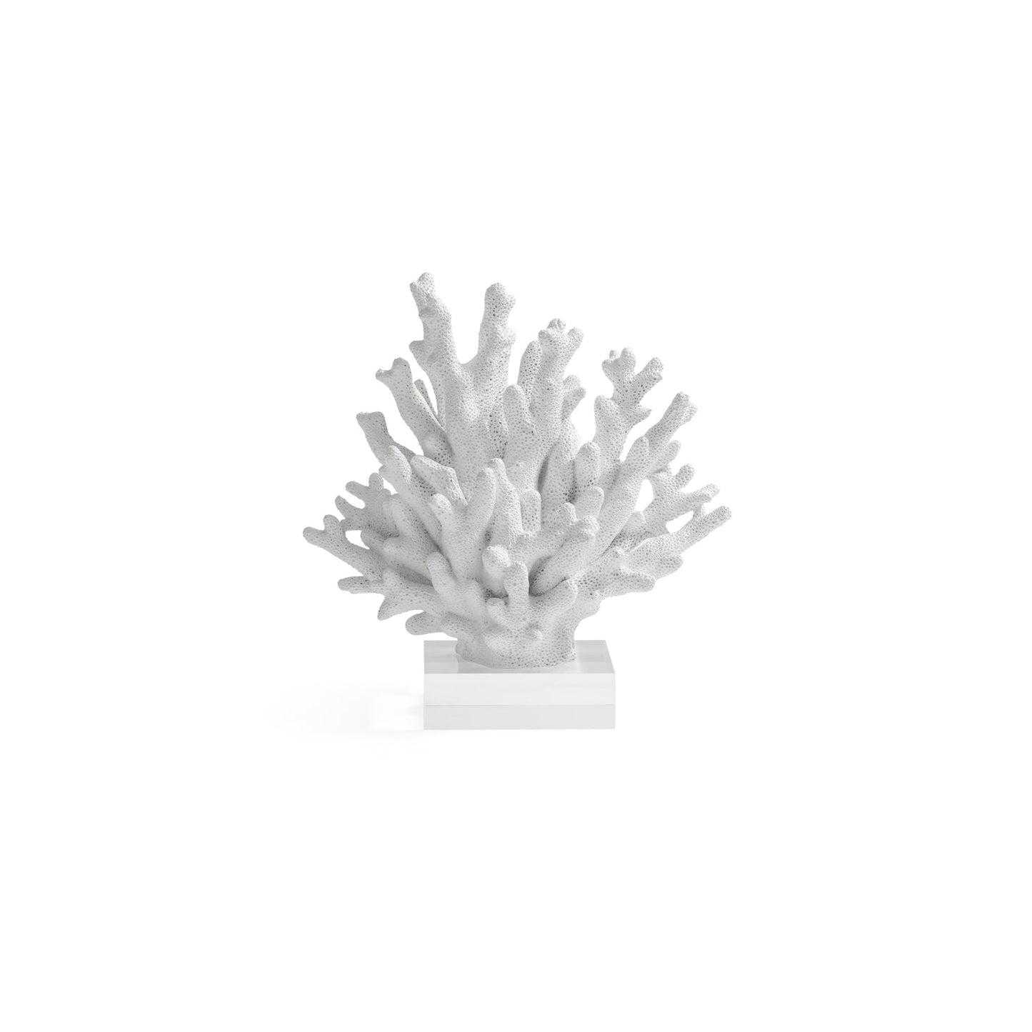 White Resin Coral on Acrylic Base