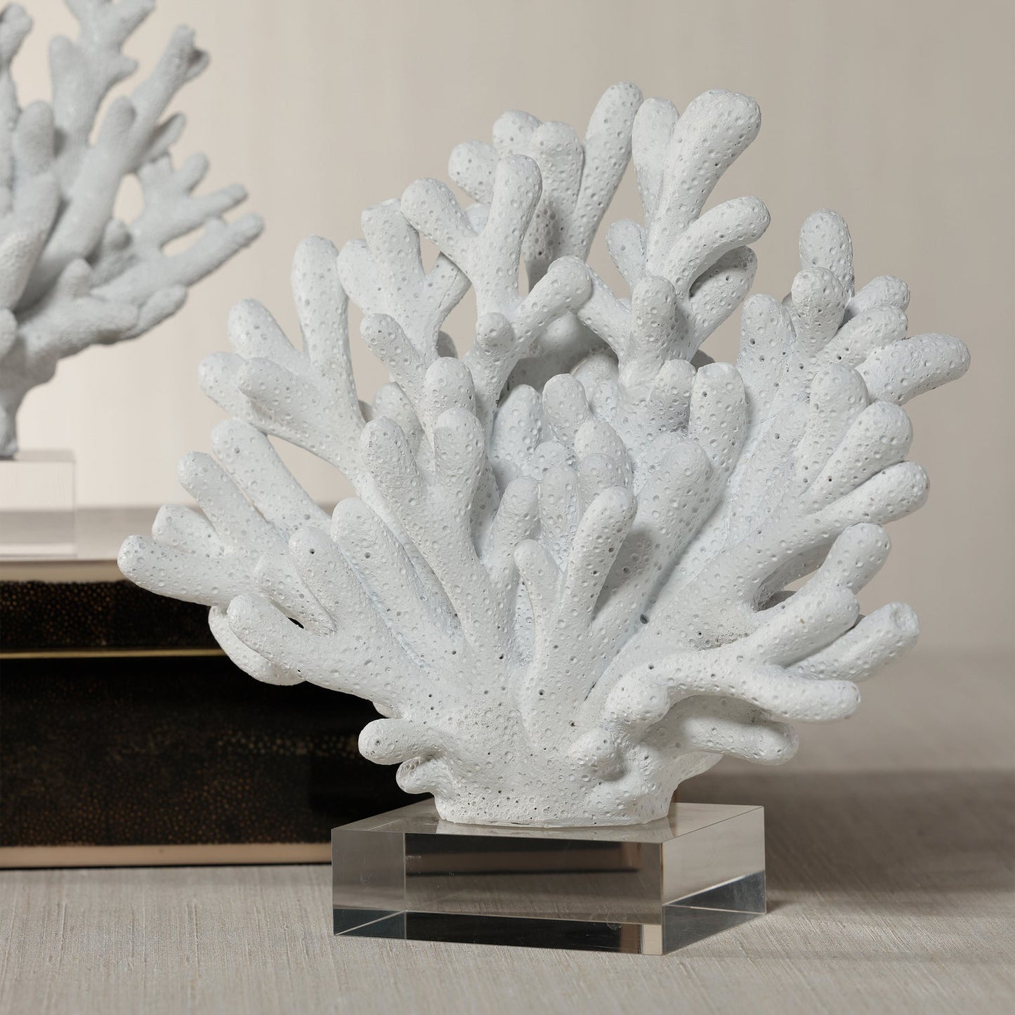 White Resin Coral on Acrylic Base