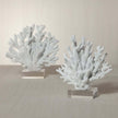 White Resin Coral on Acrylic Base