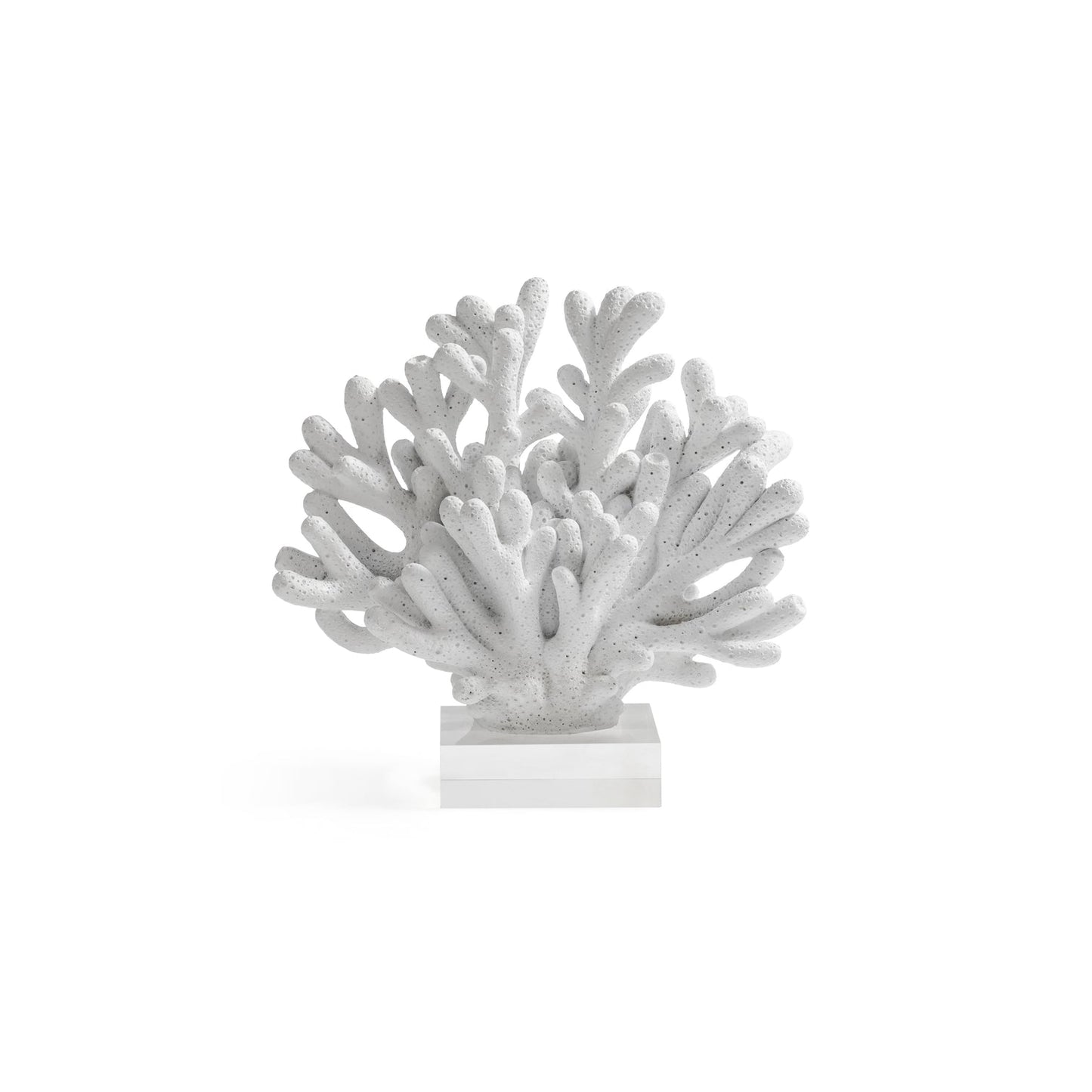 White Resin Coral on Acrylic Base