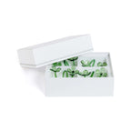 Four Botanica Glass Flower Napkin Rings - Boxed (Set of 4) in elegant white box with delicate green glass flowers.