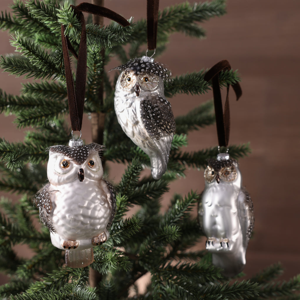 Silver Glass Owl Ornament - 3 Assorted Pieces