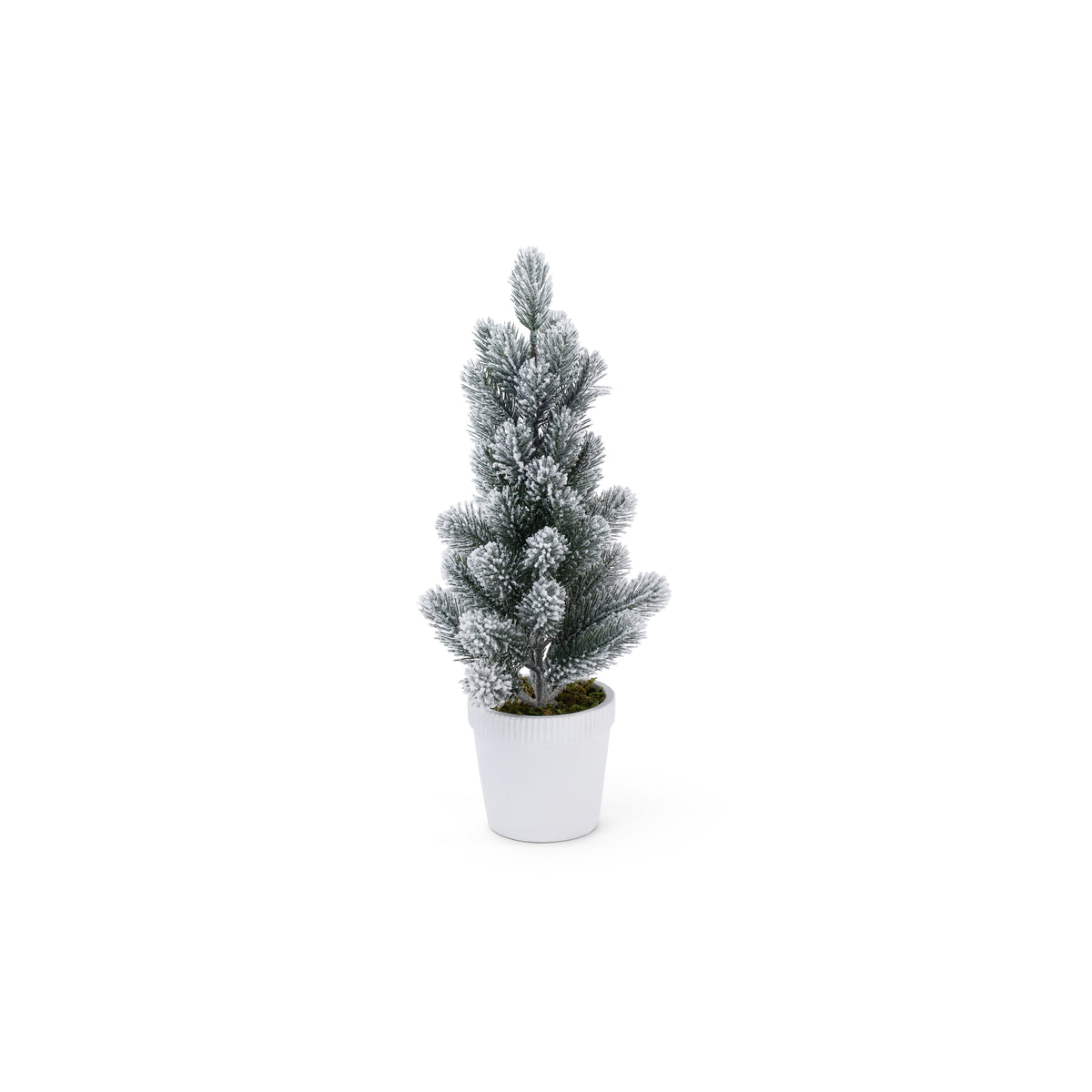 Snow Covered Flocked Tree in White Concrete Pot