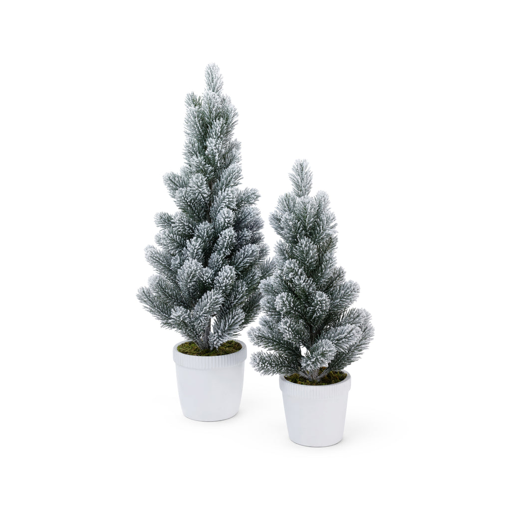 Snow Covered Flocked Tree in White Concrete Pot