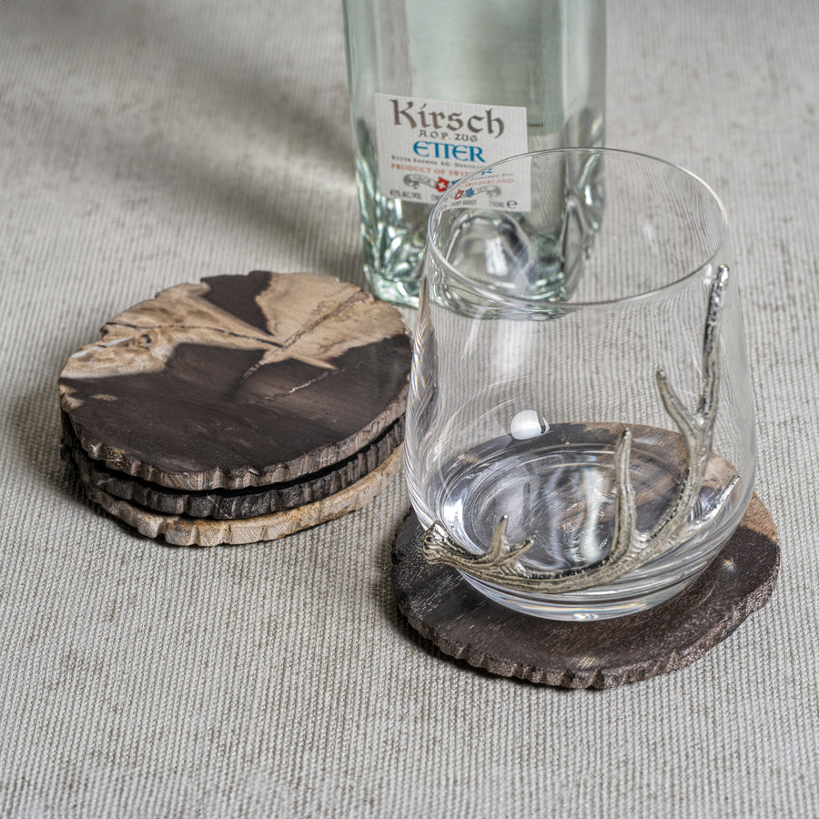 Curio Bay Petrified Wood Coaster - Set of 4