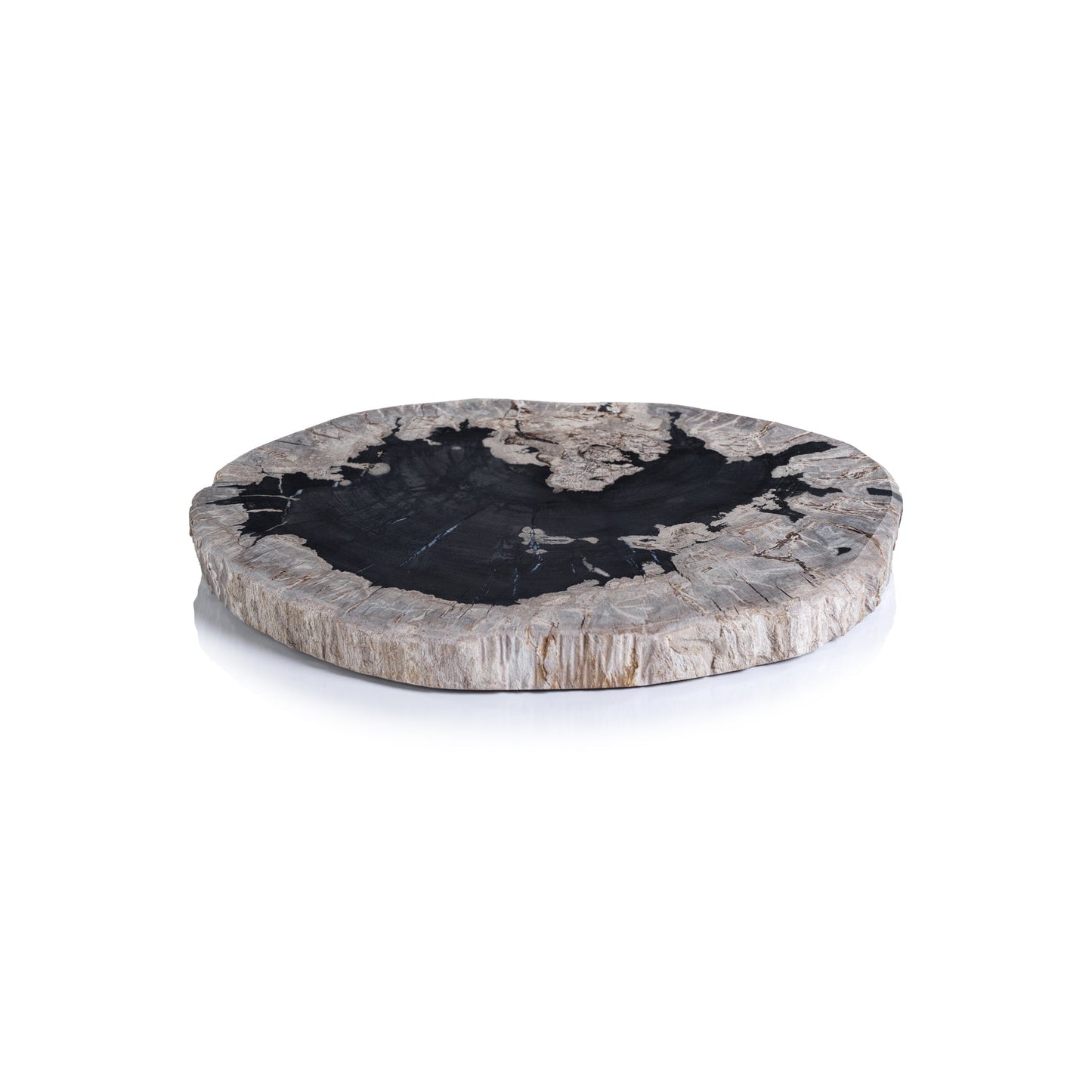 Petrified Wood Cheese Board - Organic Shape