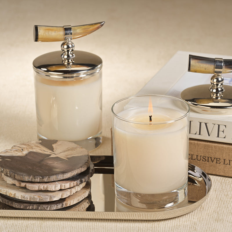 Côte d’Ivoire Scented Candle with Horn Lid - Candles by Carlyle Avenue