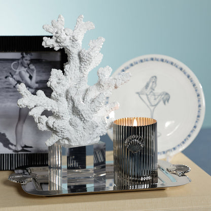 Cap Ferrat Fan Shell Design Candle in Gift Box