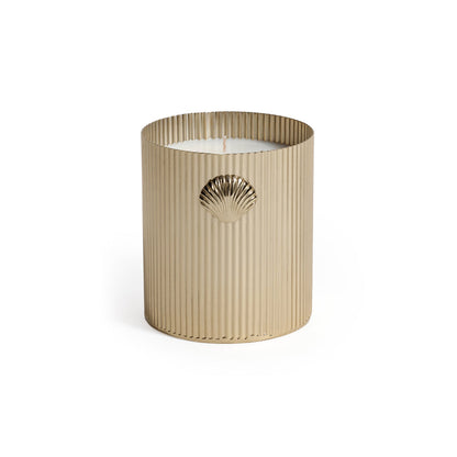 Cap Ferrat Fan Shell Design Candle in Gift Box