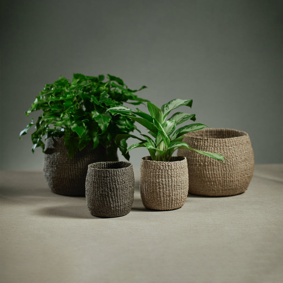 Terracotta Nautilus Planter, Vases, Pots & Planters