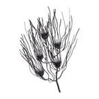 Coraline Luminaire Wall Sconce - Lighting by Carlyle Avenue