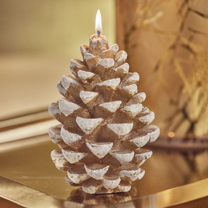 Pine Cone Candle - Candles by Carlyle Avenue