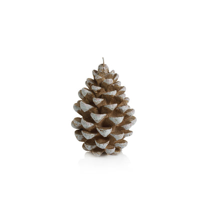 Pine Cone Candle - Candles by Carlyle Avenue