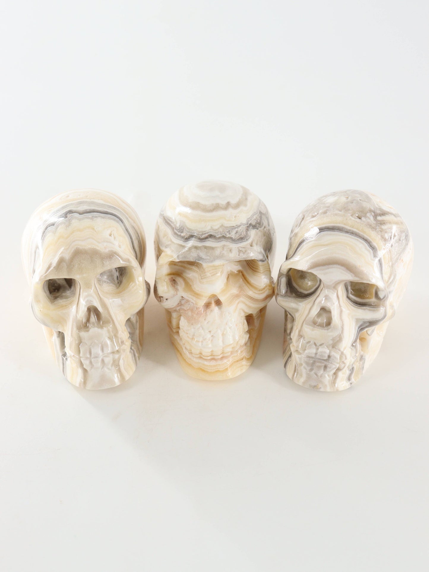 Onyx Skull -  by Carlyle Avenue