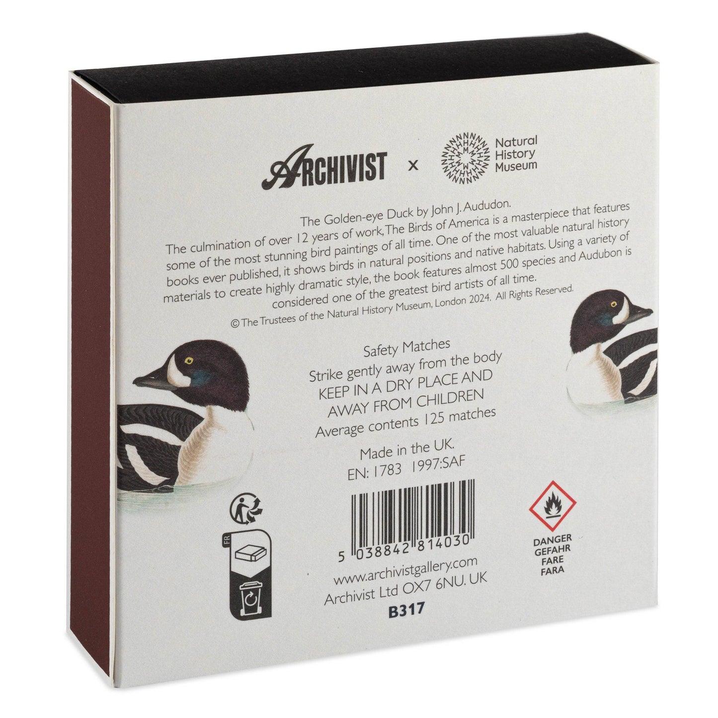 The Golden-eye Duck by Audubon  | Square - Safety Matches