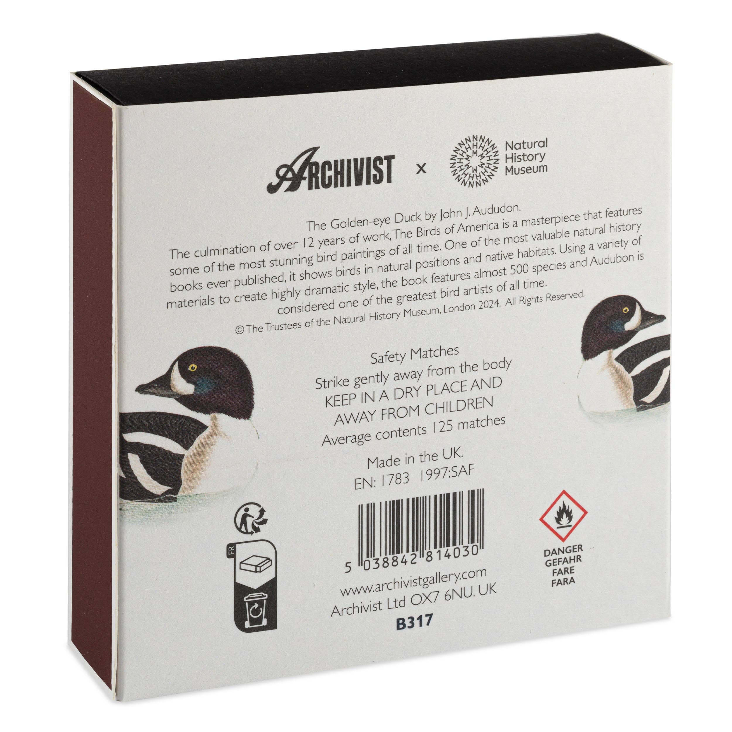The Golden-eye Duck by Audubon  | Square - Safety Matches