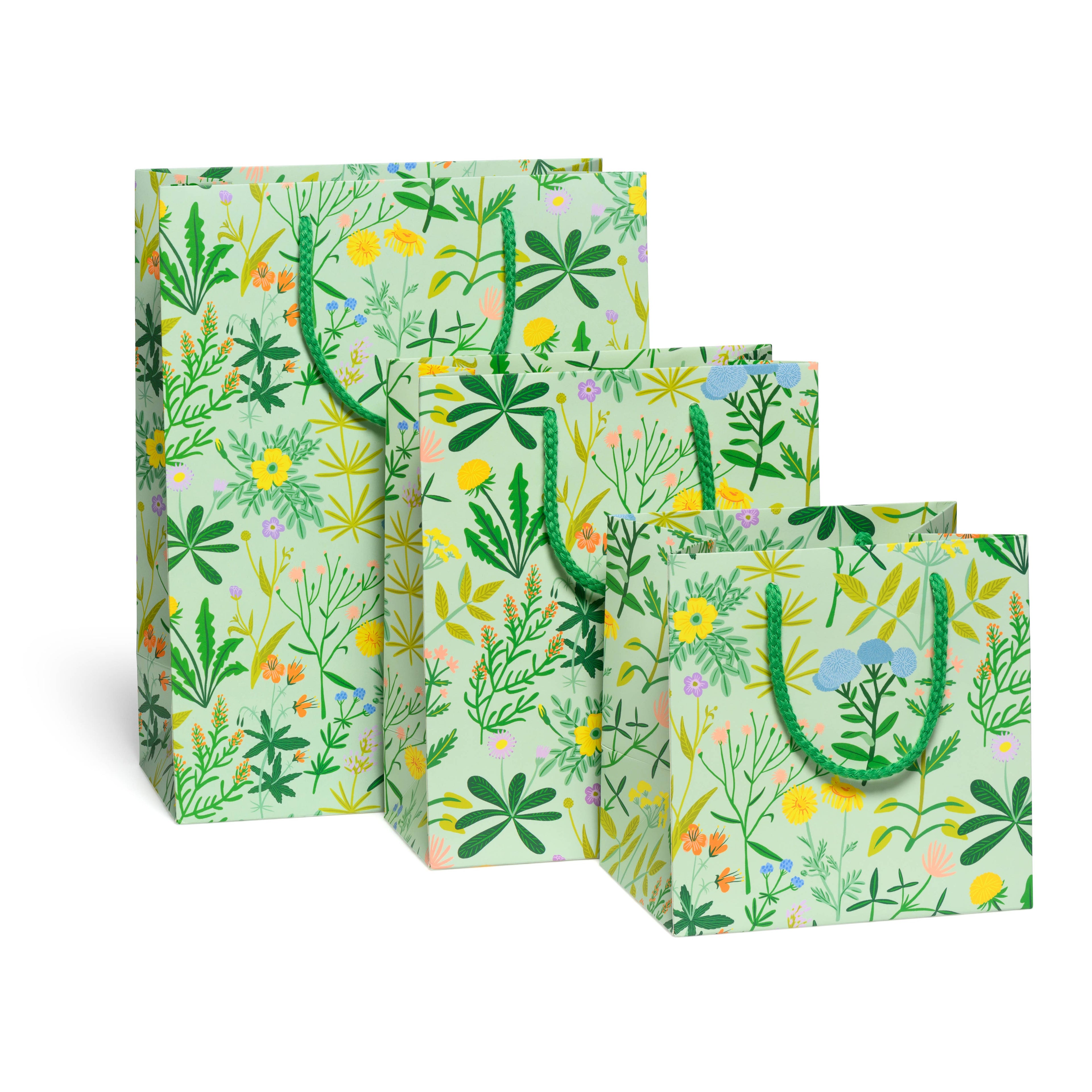 Growing Wild gift bags -  by Carlyle Avenue