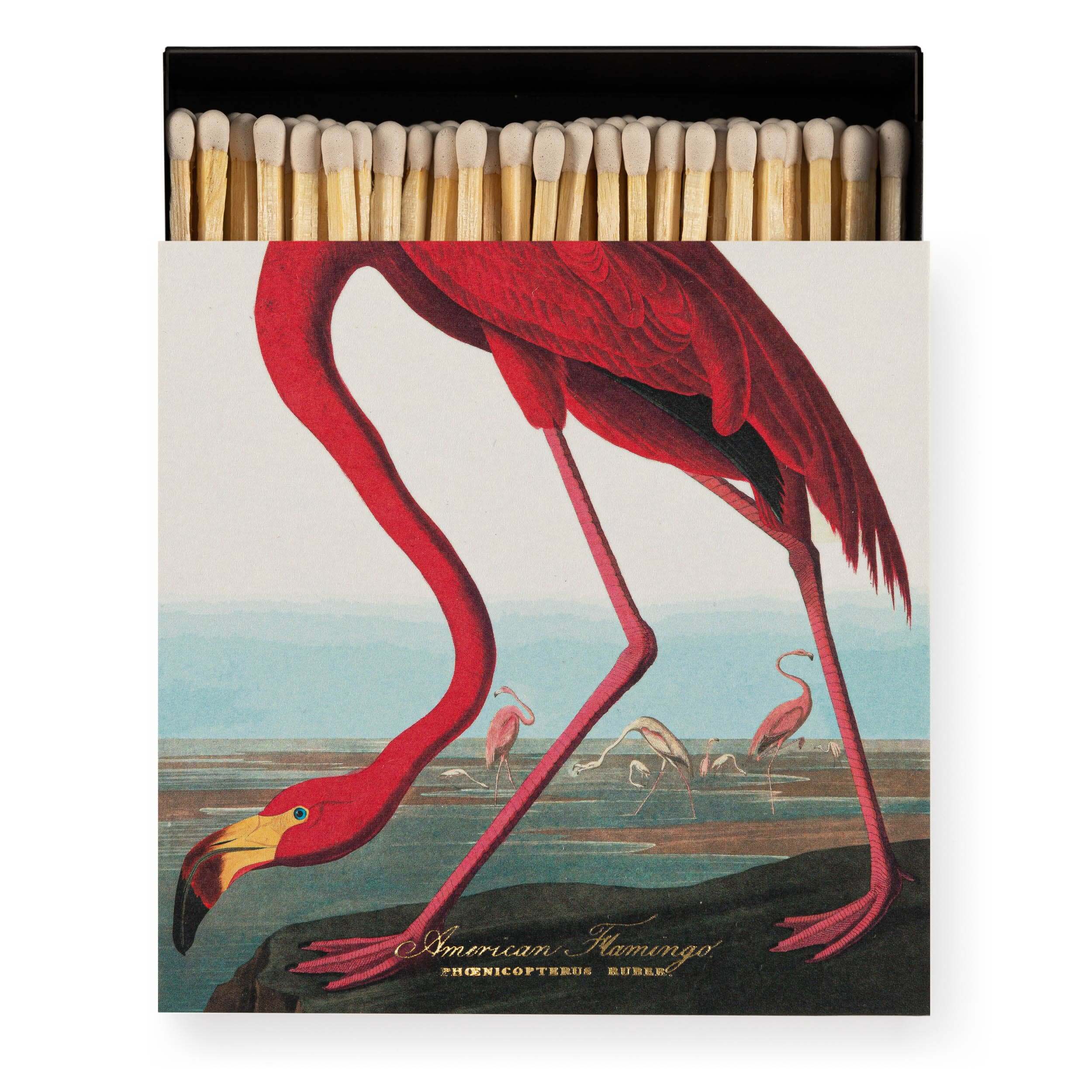American Flamingo  | Square - Safety Matches matchbox featuring a vibrant flamingo design.