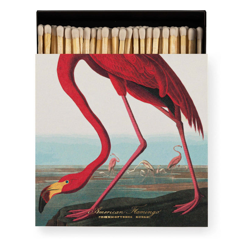 American Flamingo  | Square - Safety Matches matchbox featuring a vibrant flamingo design.