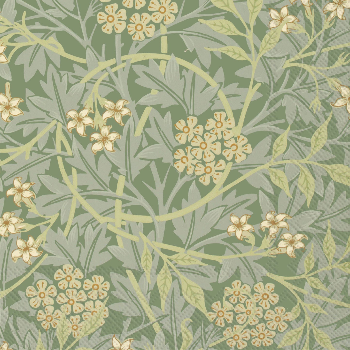 Paper Cocktail Napkins