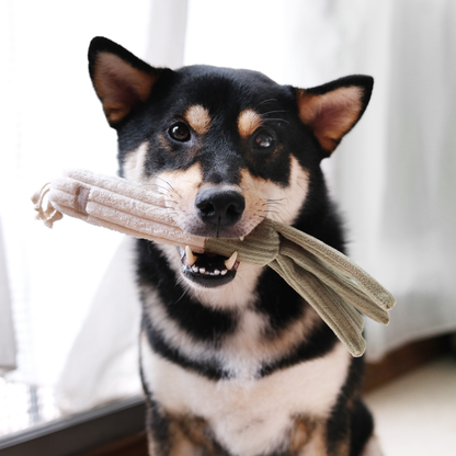 CORN + LEEK SET//ENRICHMENT DOG TOY