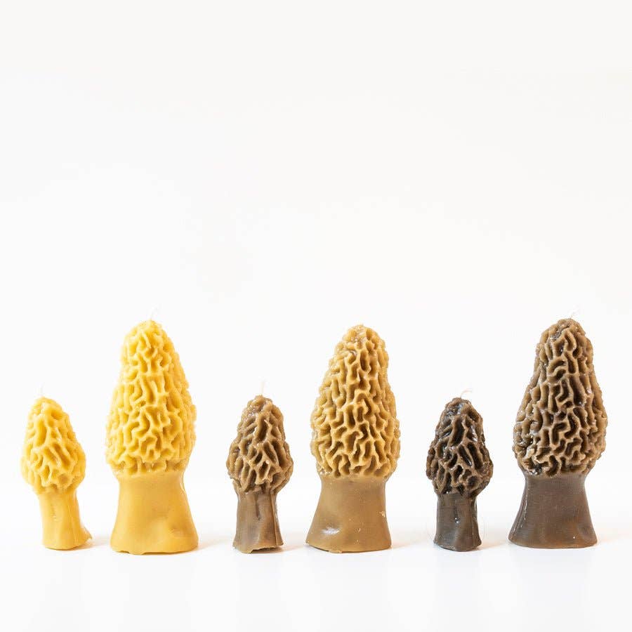 Morel Mushroom Beeswax Candle 2-pack -  by Carlyle Avenue
