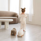 BUTTON // pull-along sheep taupe -  by Carlyle Avenue