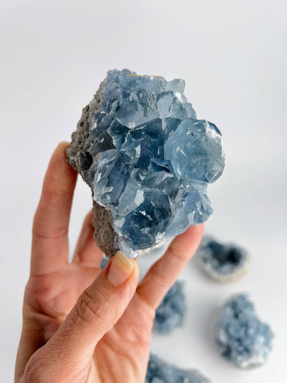 Blue Celestite Crystal Geodes - Large - Decorative Accessories by Carlyle Avenue